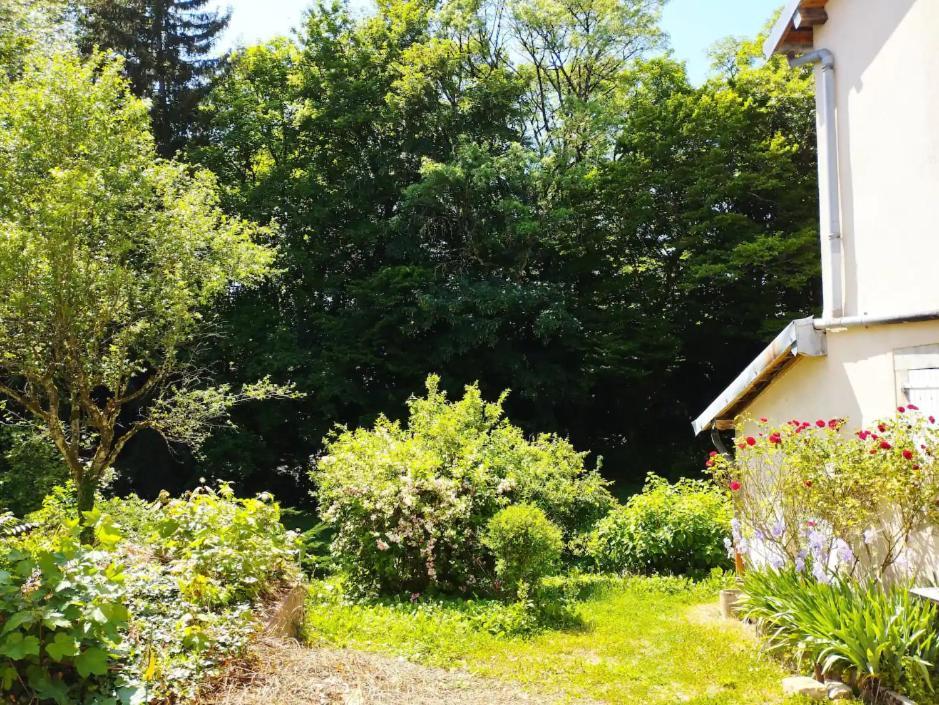 Les Glycines, Un Air De Campagne A La Ville Besançon Exteriér fotografie